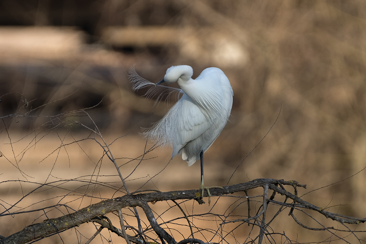 Mi faccio bella per il veglione...