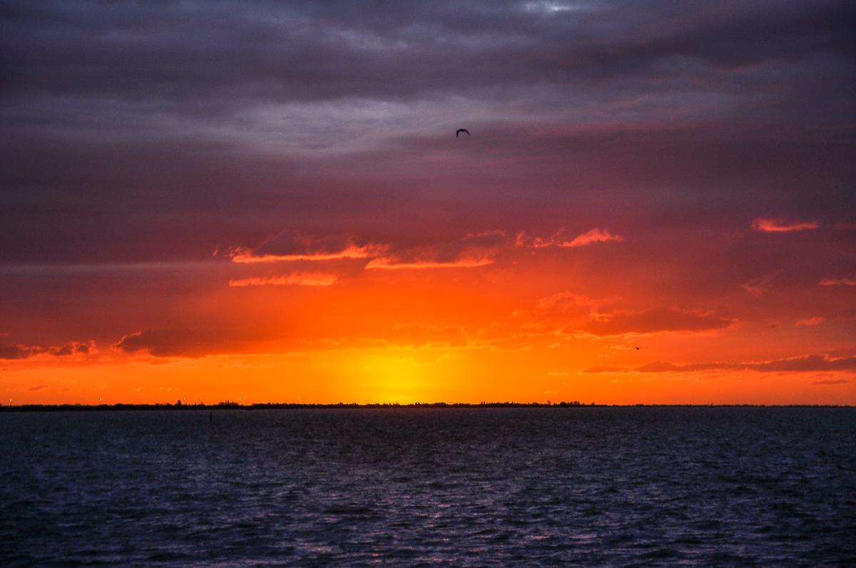 Last day of the year ..