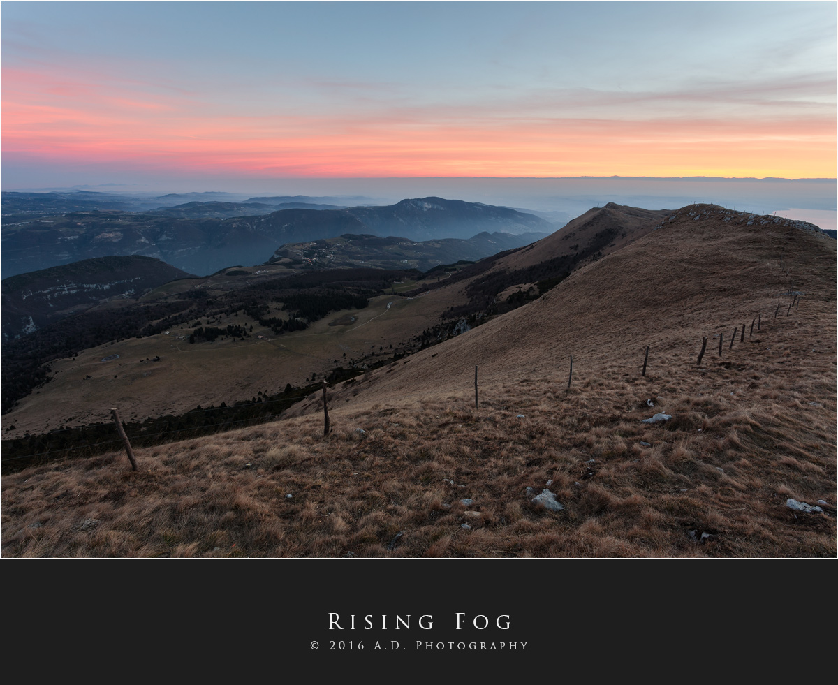 Rising Fog