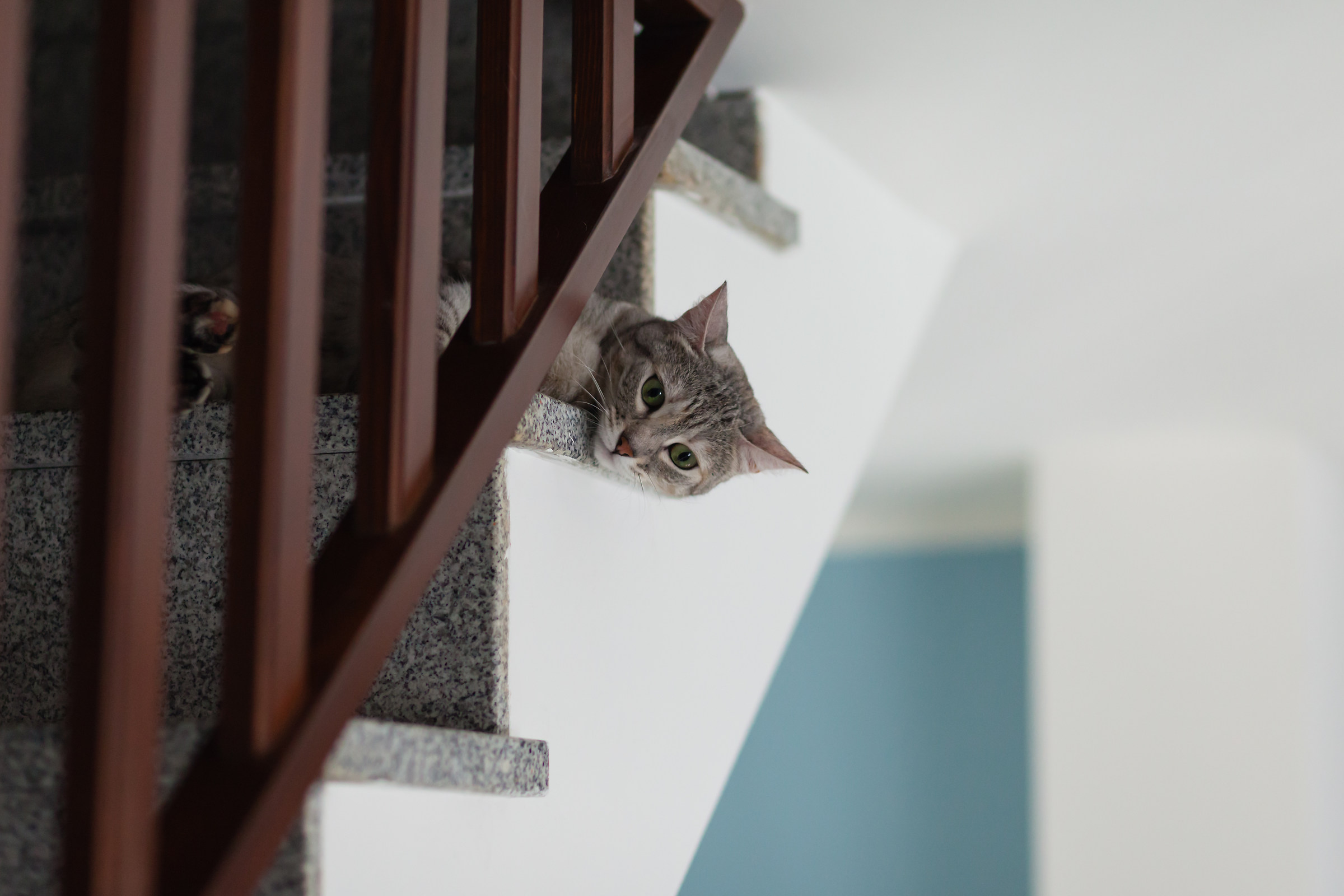 From here you can see better