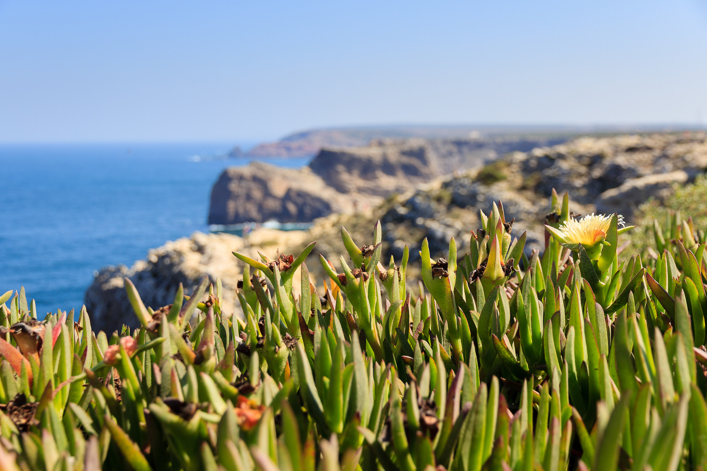 Panorama dal Farol do Cabo de Sao Vicente