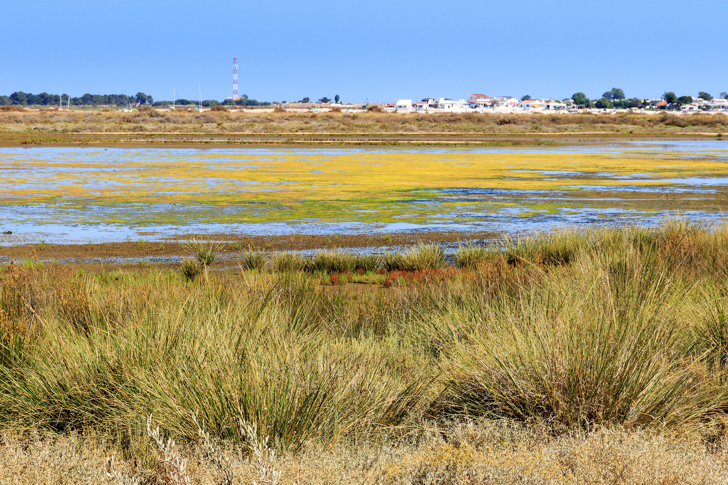 Parco Naturale di Rio Formosa