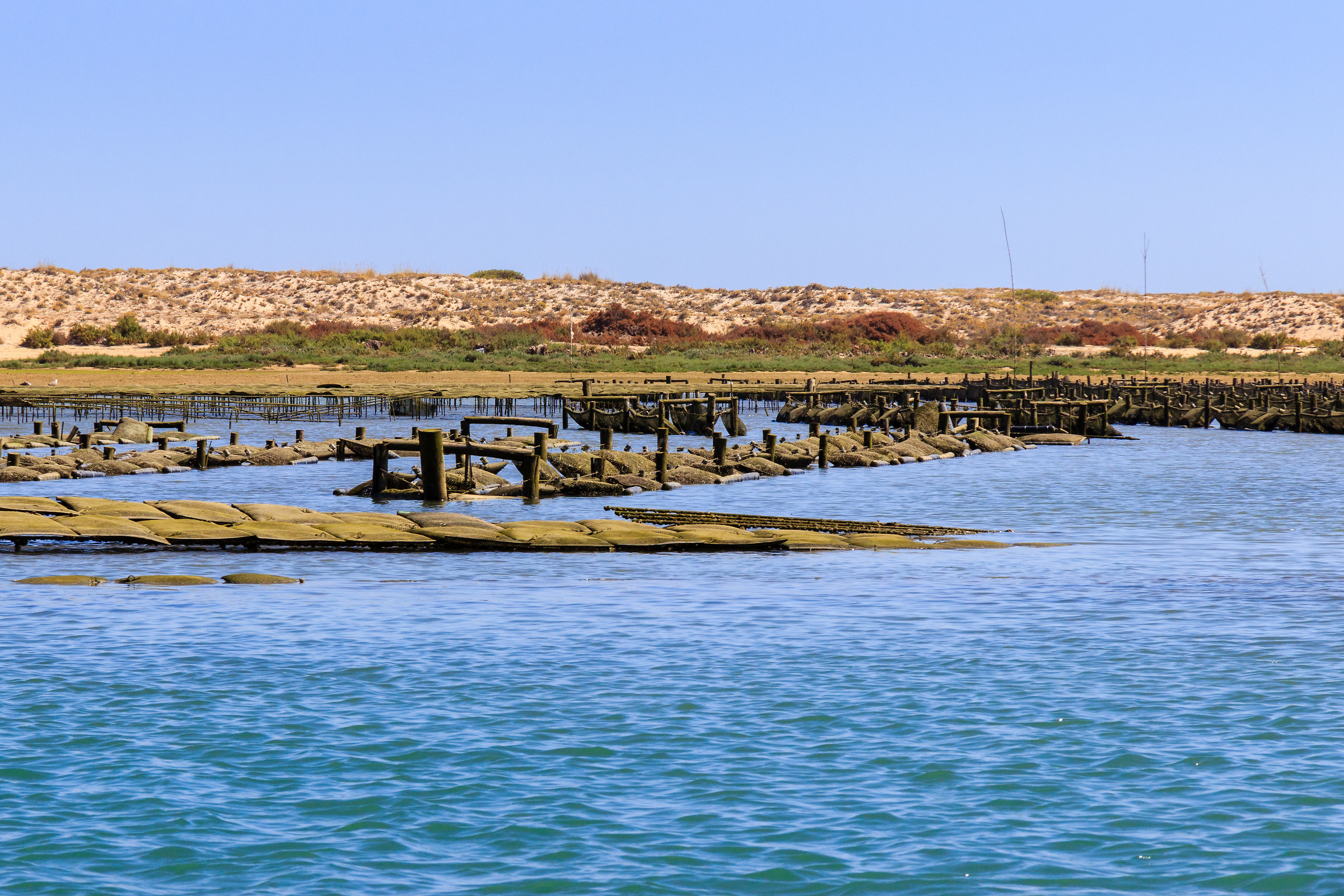 Rio Formosa - Allevamento ostriche