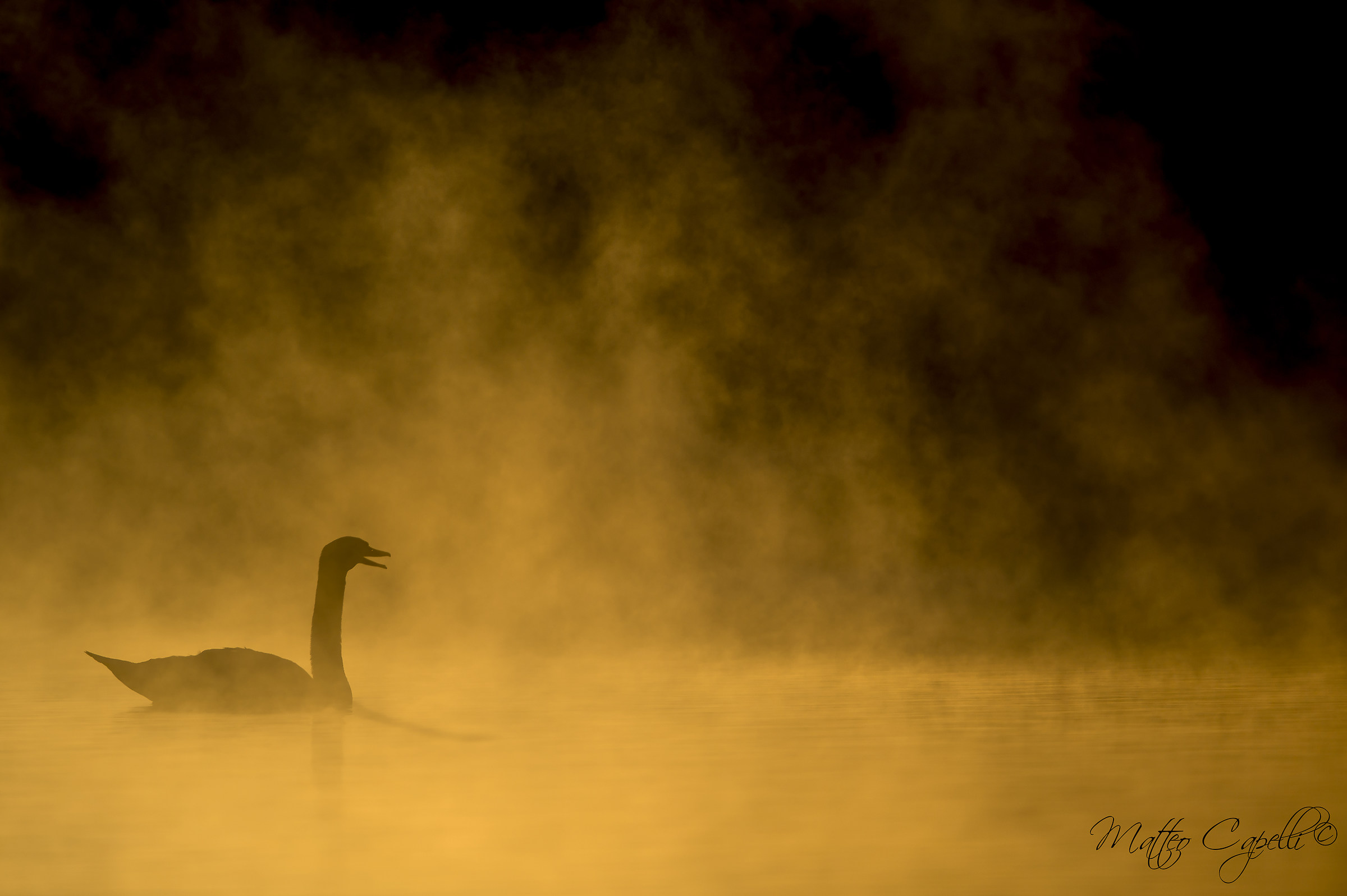 Lucifero il Mostro Del Lago