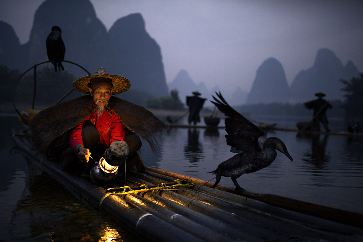 fisherman with cormorants, China