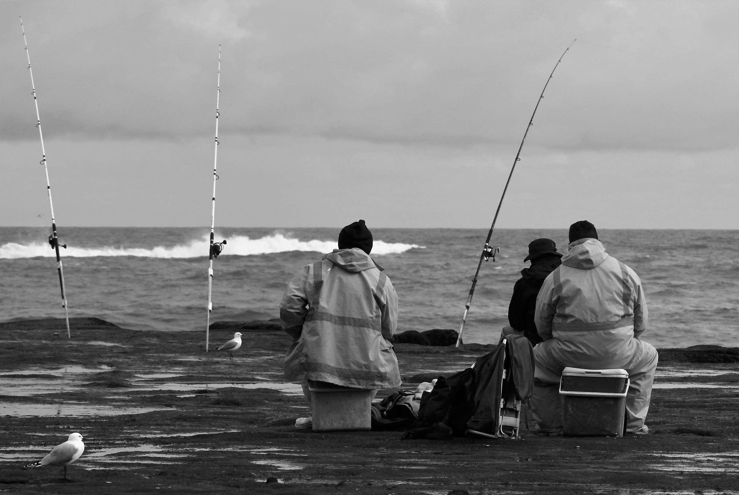 Pescatori Maori a Muriwai beach