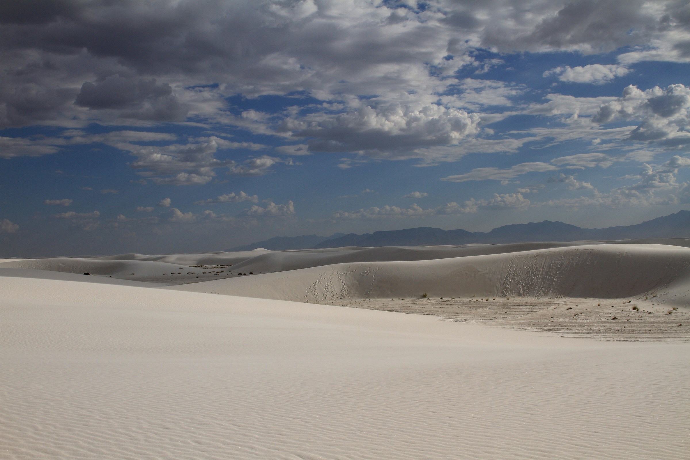 white sands