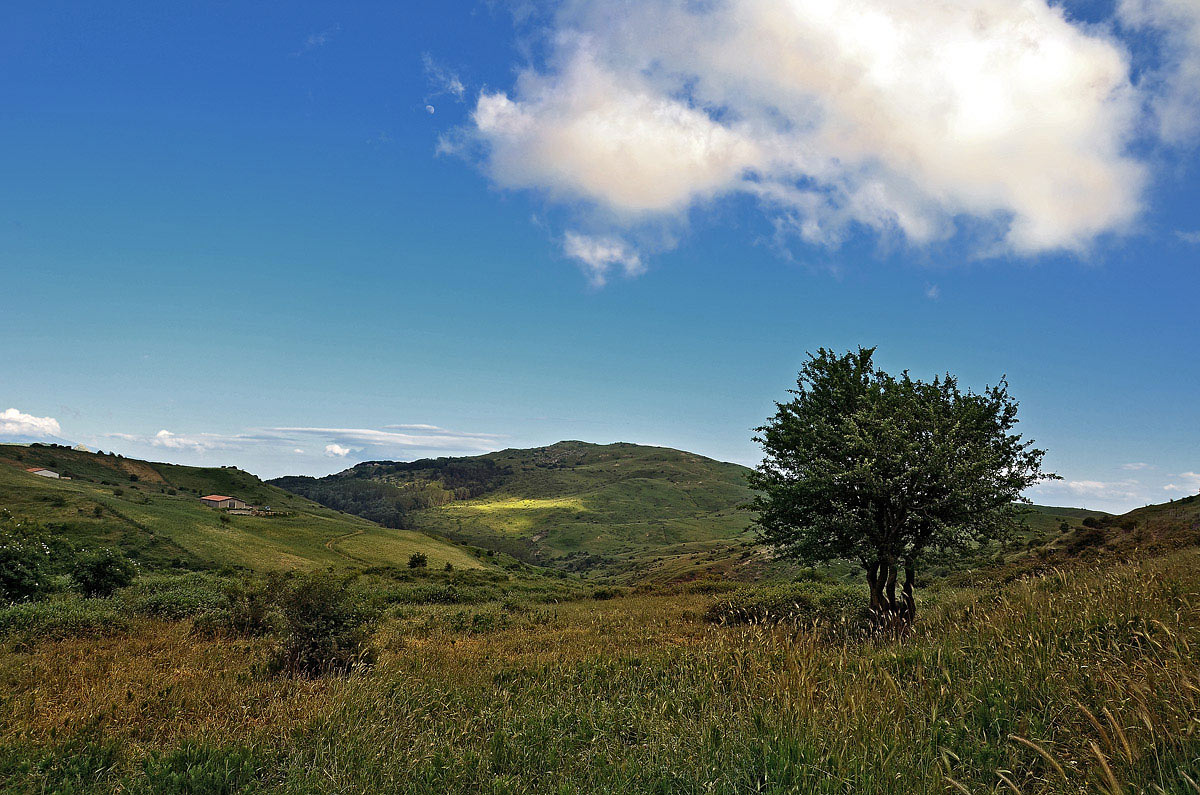 For campaigns Capizzi (Me)