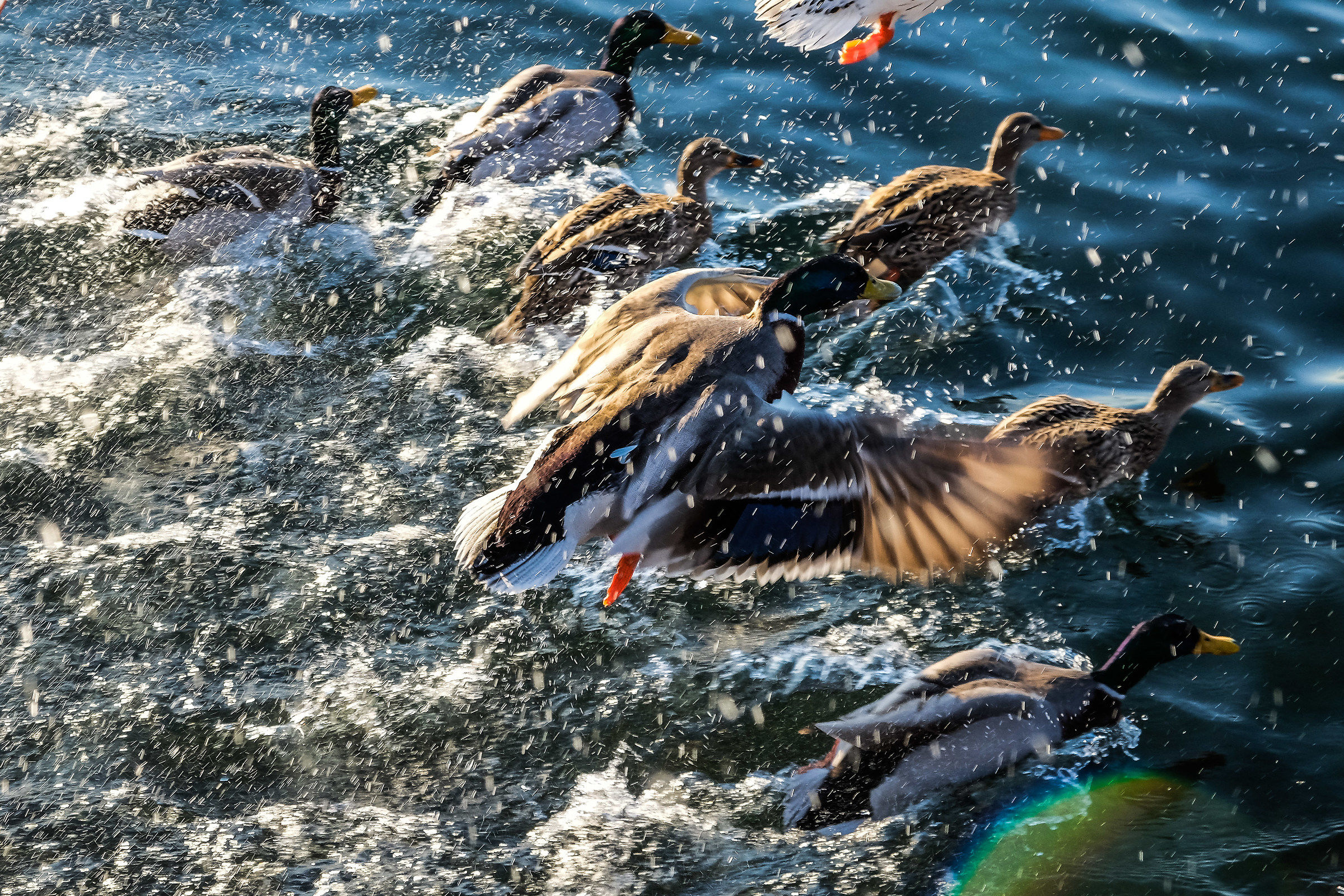 Traffic flying difficult