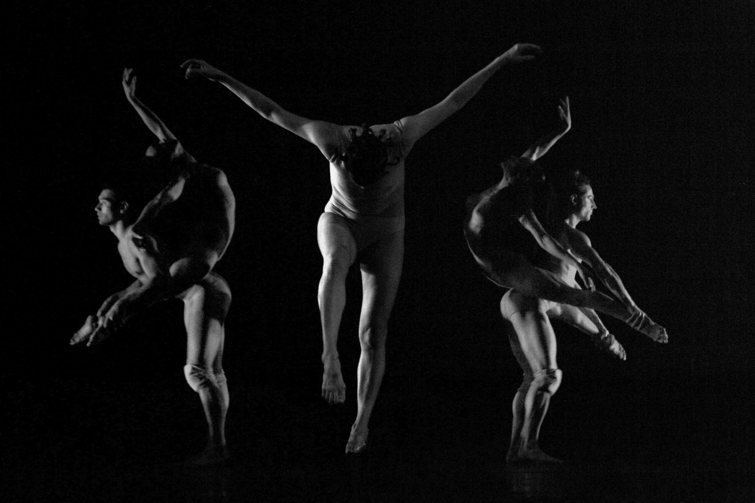 Expressions and gestures in the movement of the Dance