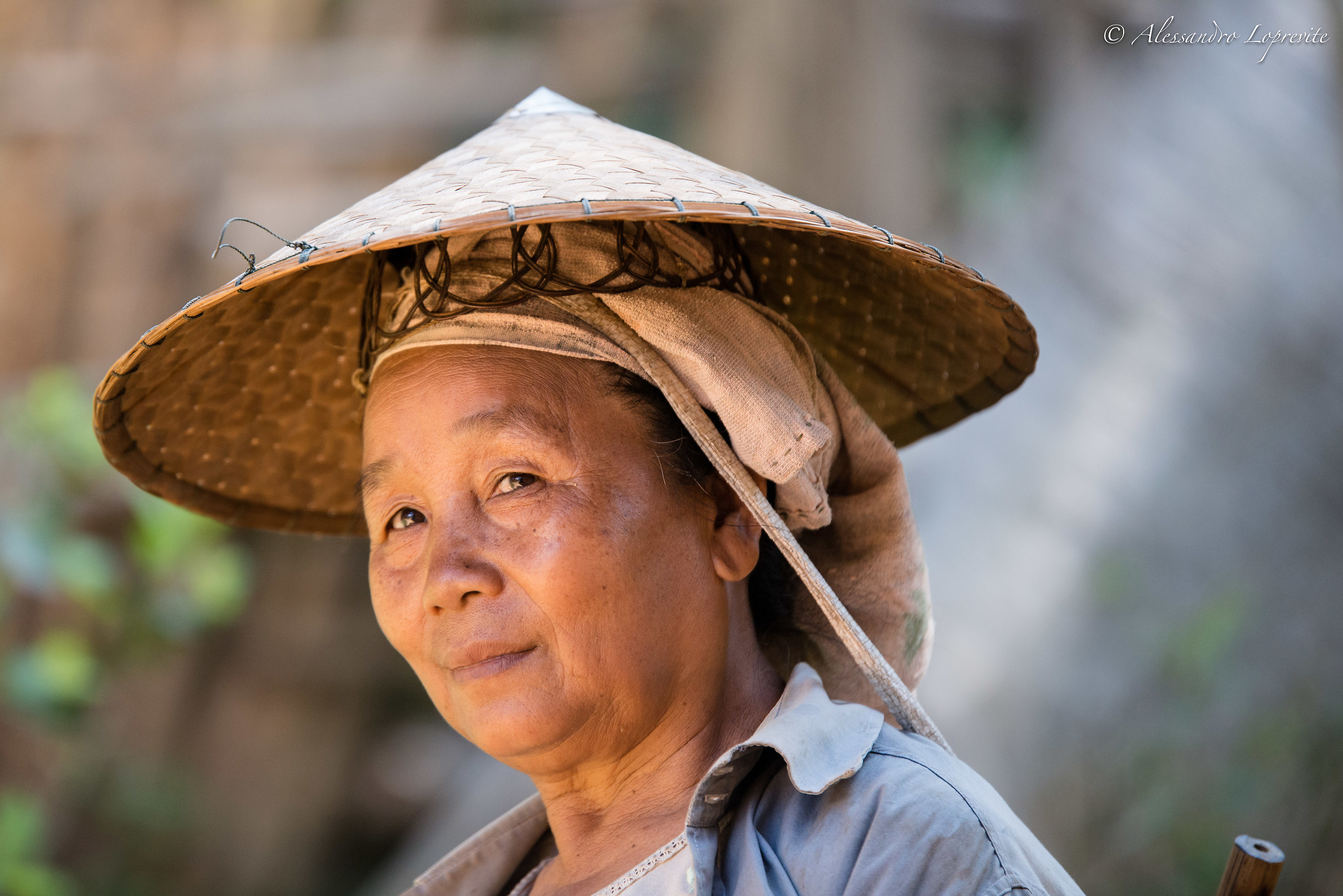 On returning from the rice harvest