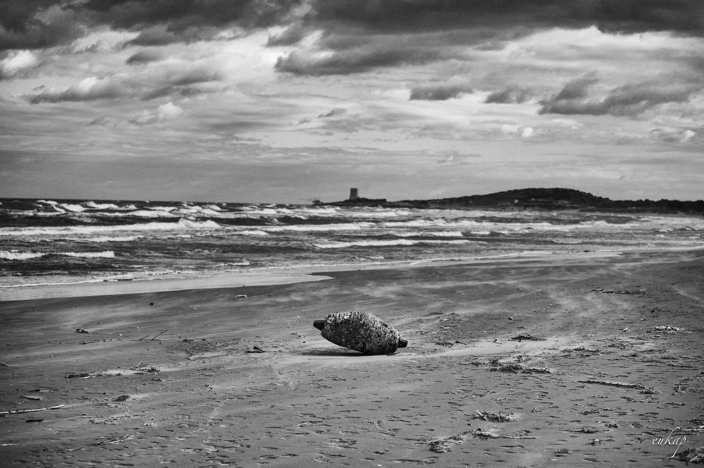 the buoy on the beach