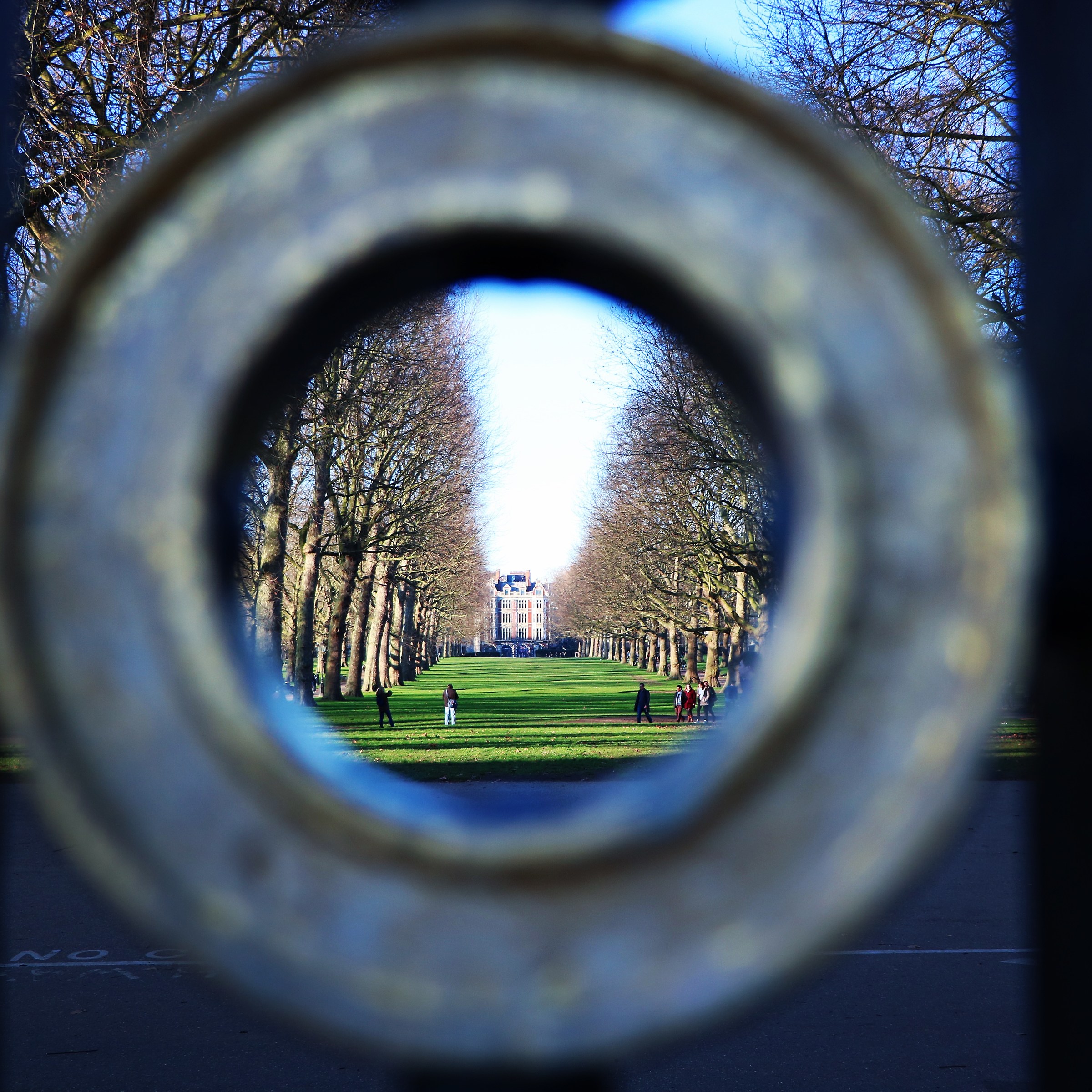 Green Park of Buckingham Palace