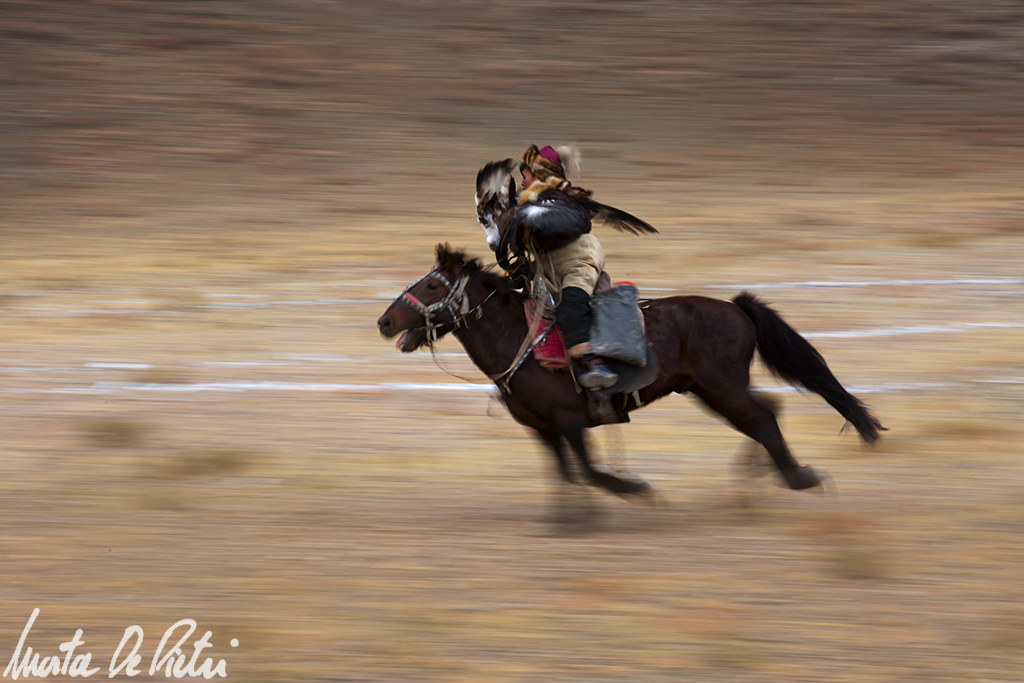 Festival of the Eagles