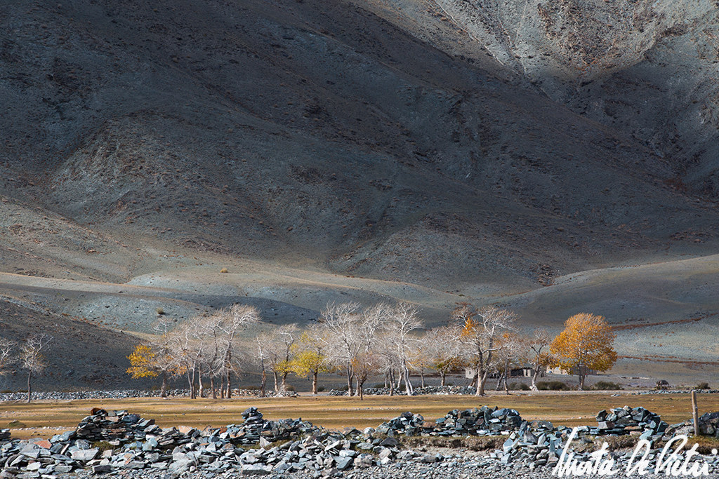 Light waves on hills Khushuut