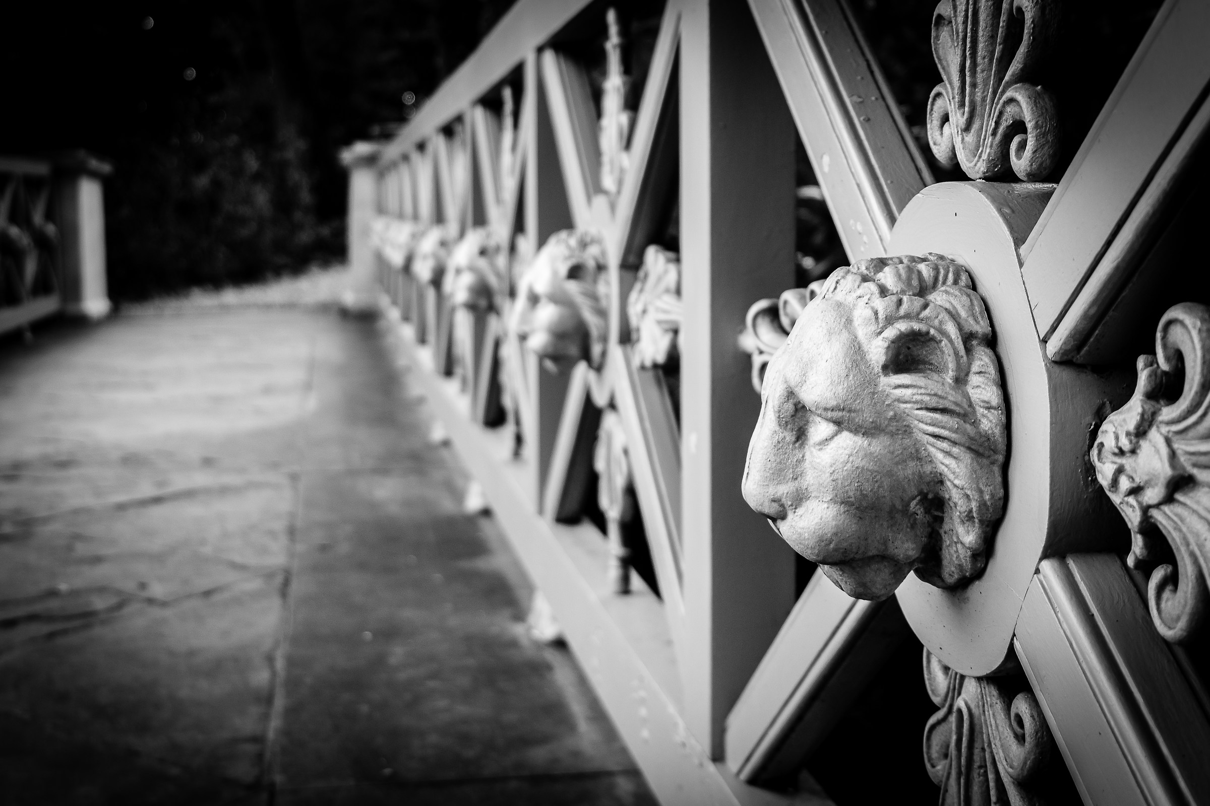 The Bridge of Lions