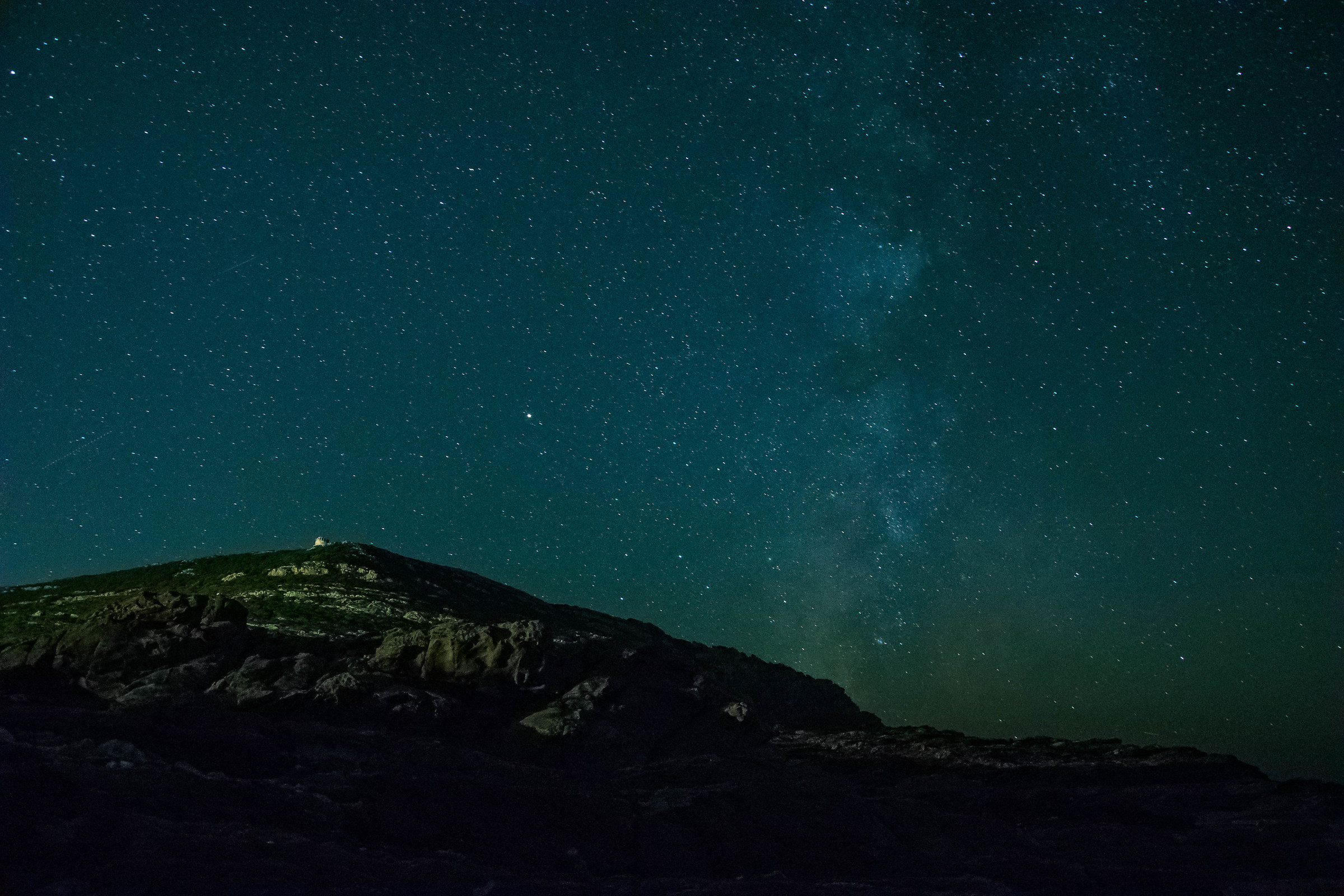 head of a falcon at night
