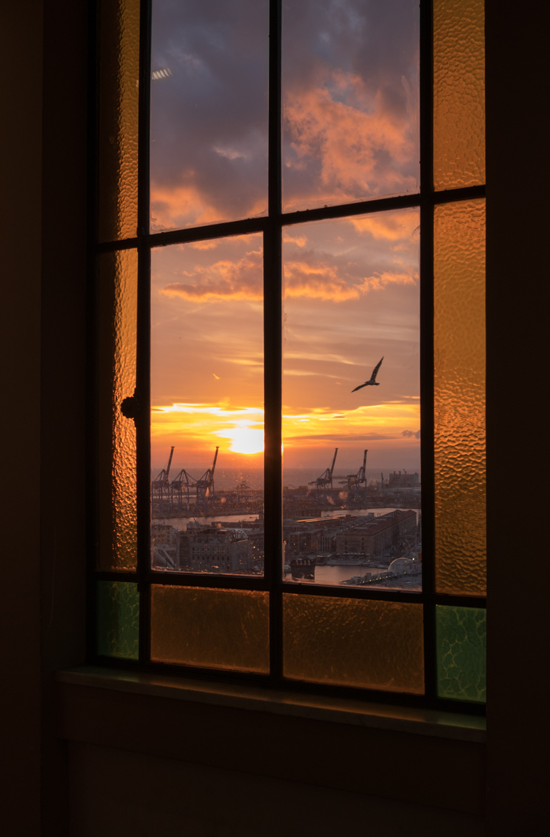 Genova porto dall'ascensore di Castelletto Levante
