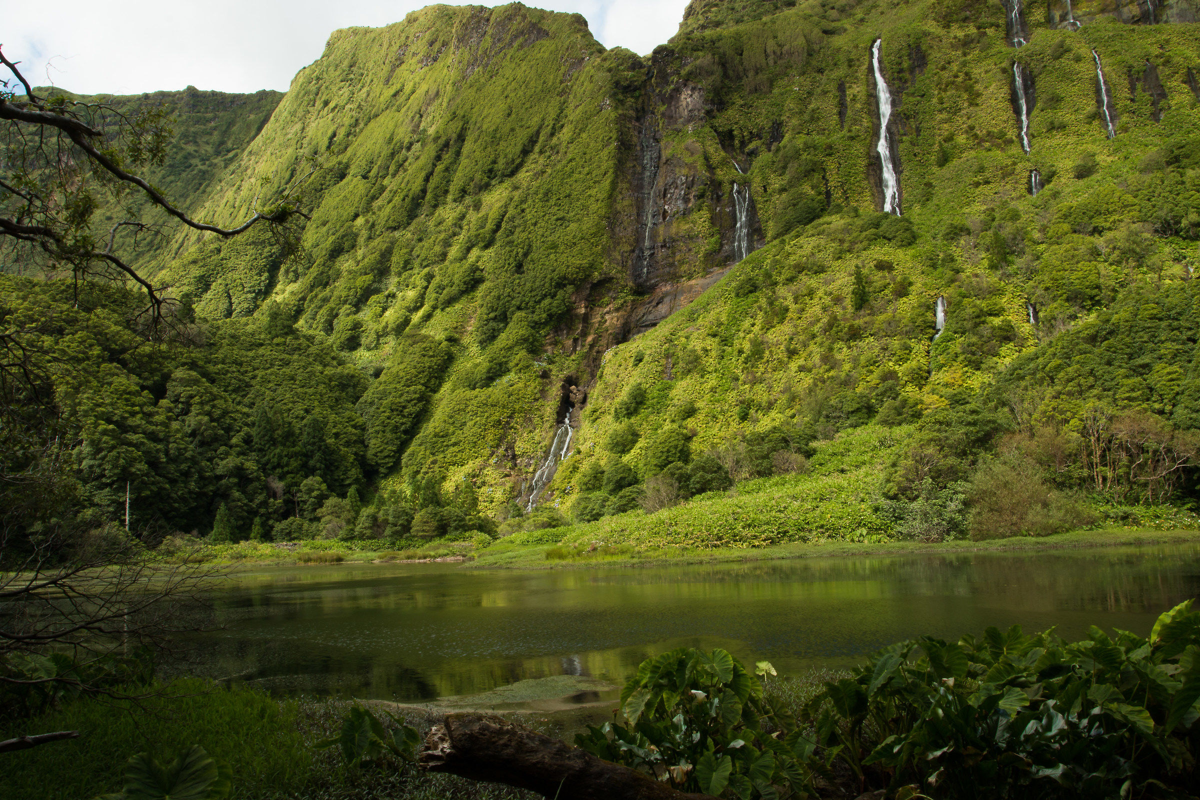 Azzorre, Isola di Flores