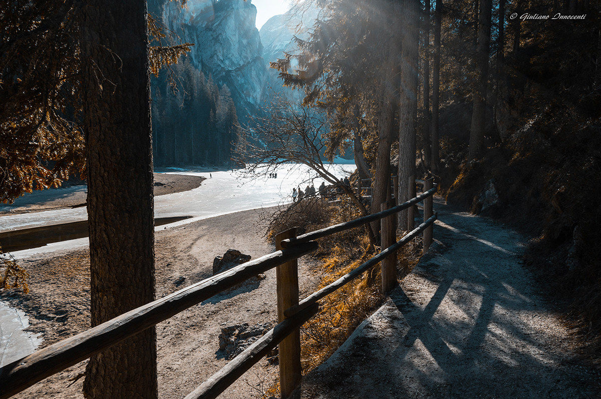 The road that goes down to the lake