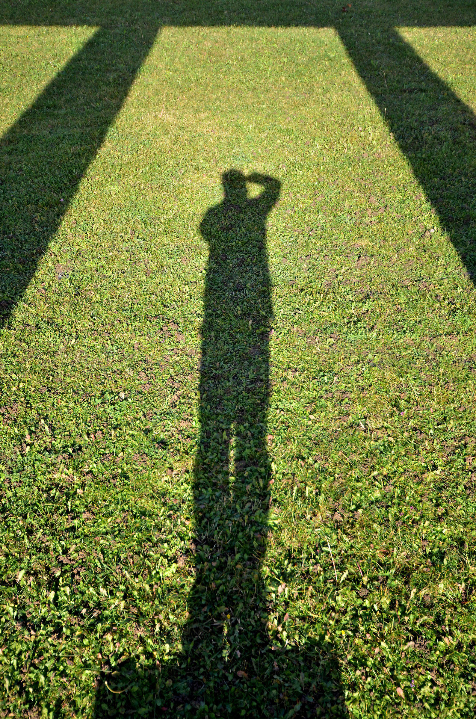 Tempio di ombre verdi