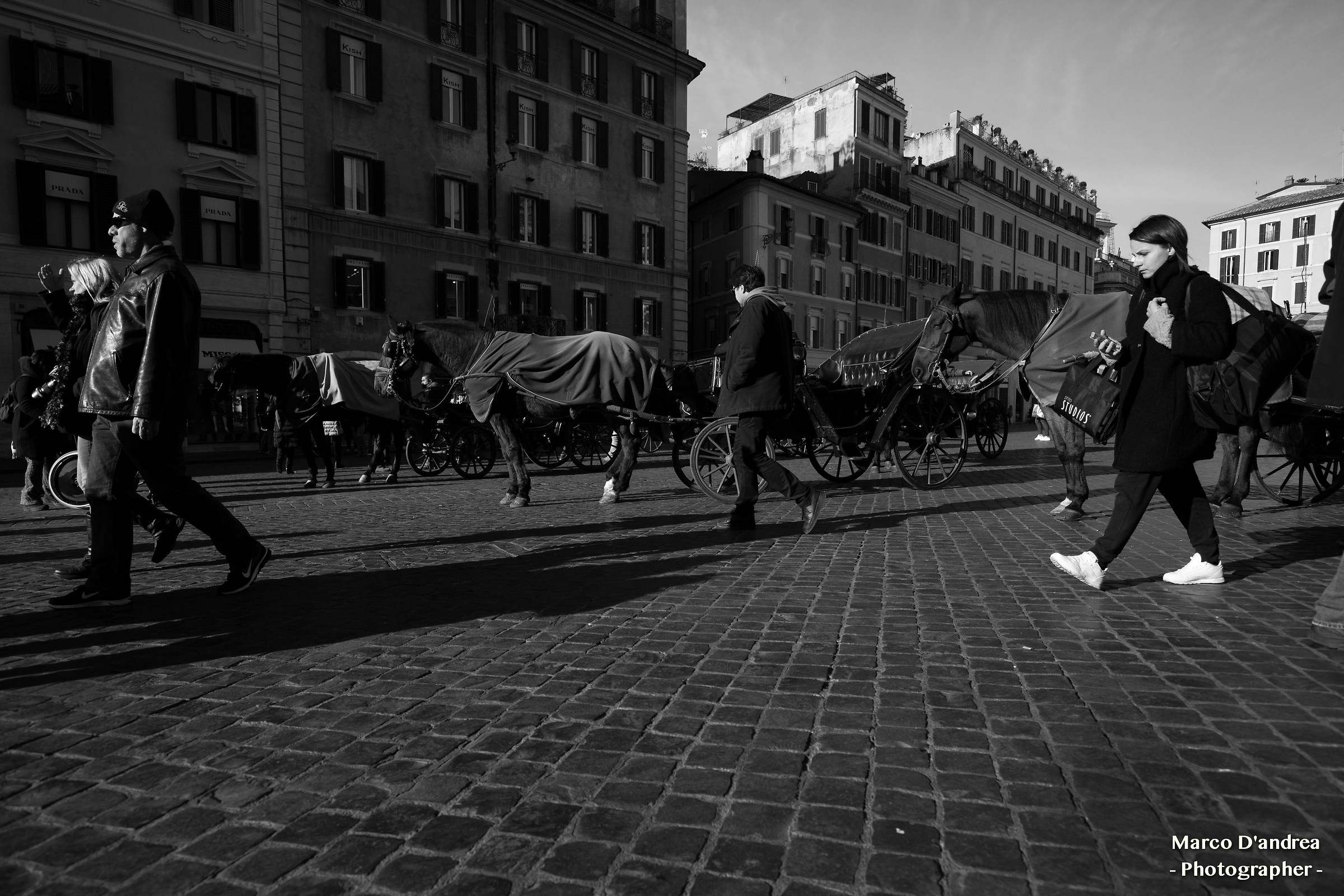 piazza di spagna e cavalli