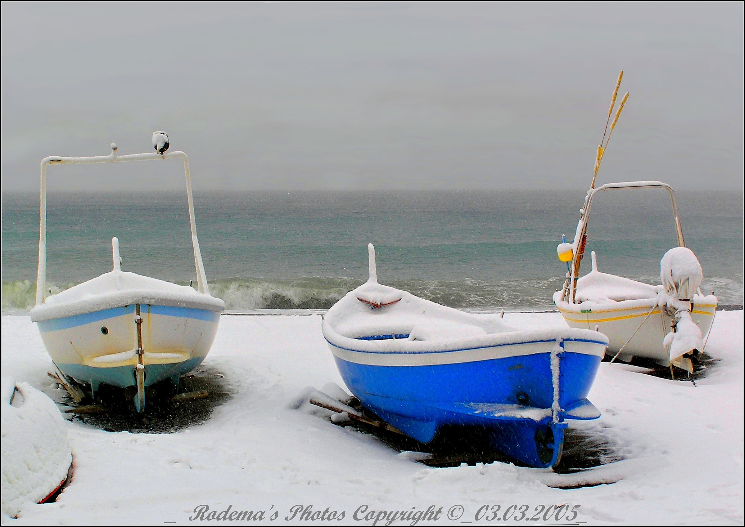 The song of the sea ...