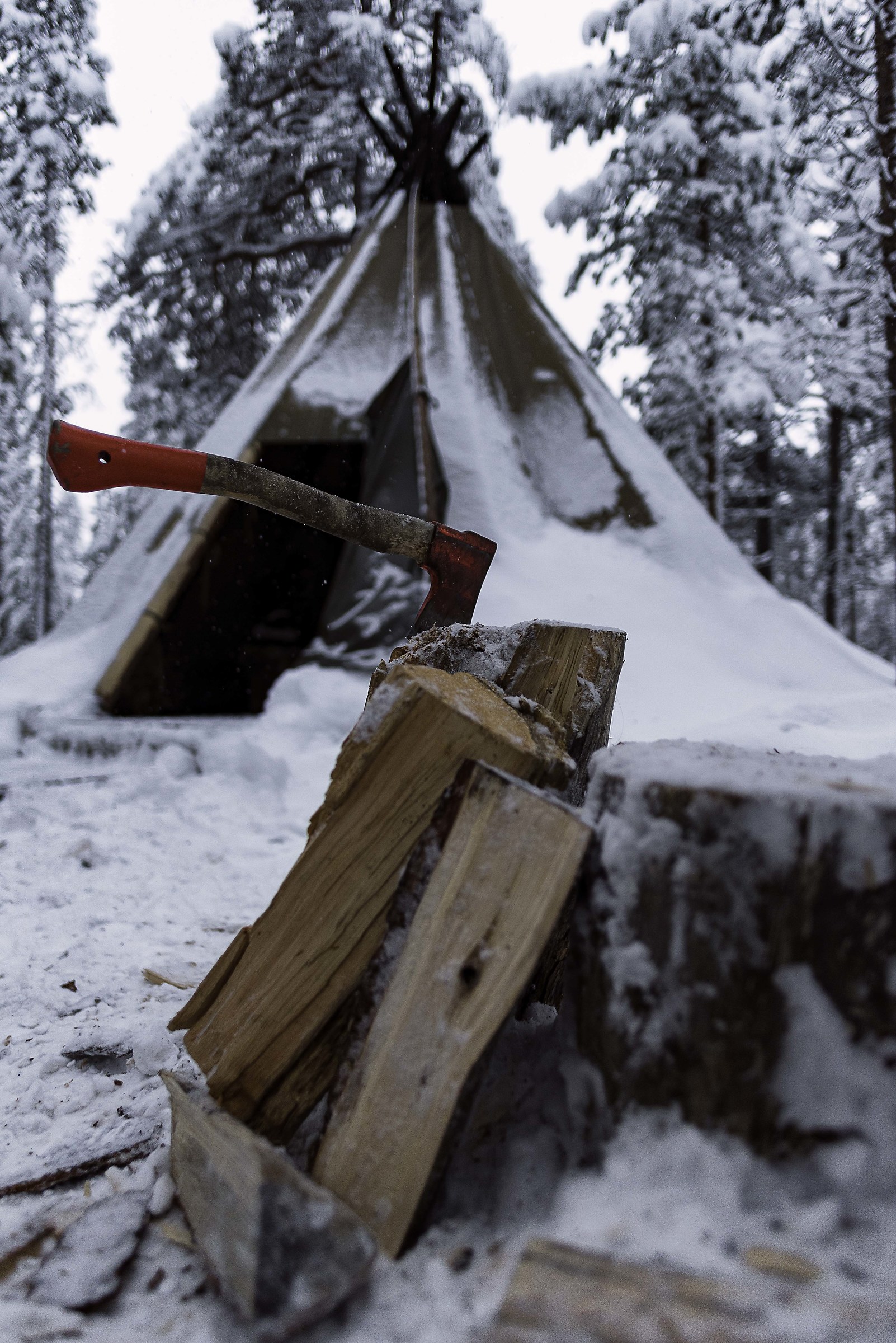 Lapponia's way o life