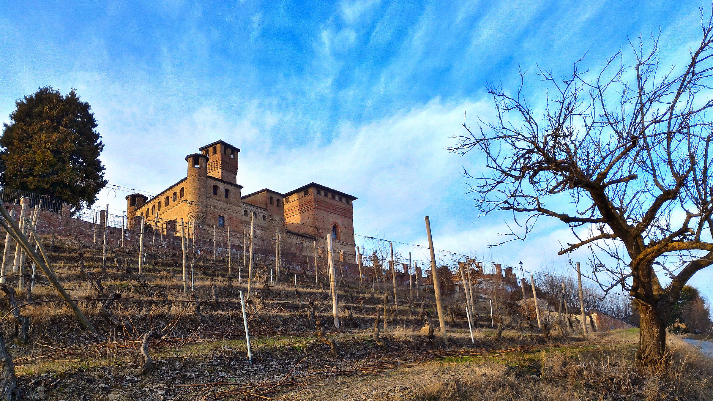 Castello di Grinzane Cavour