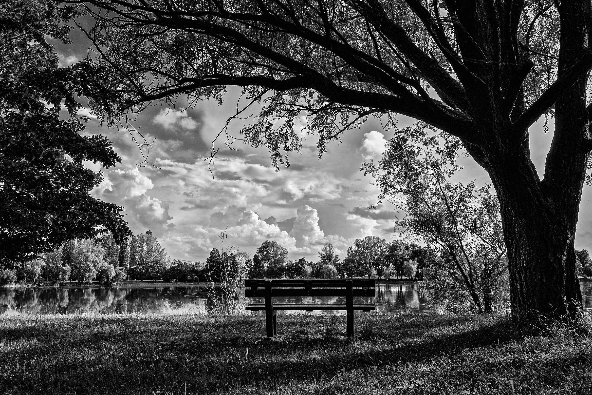 ...fermarsi a pensare