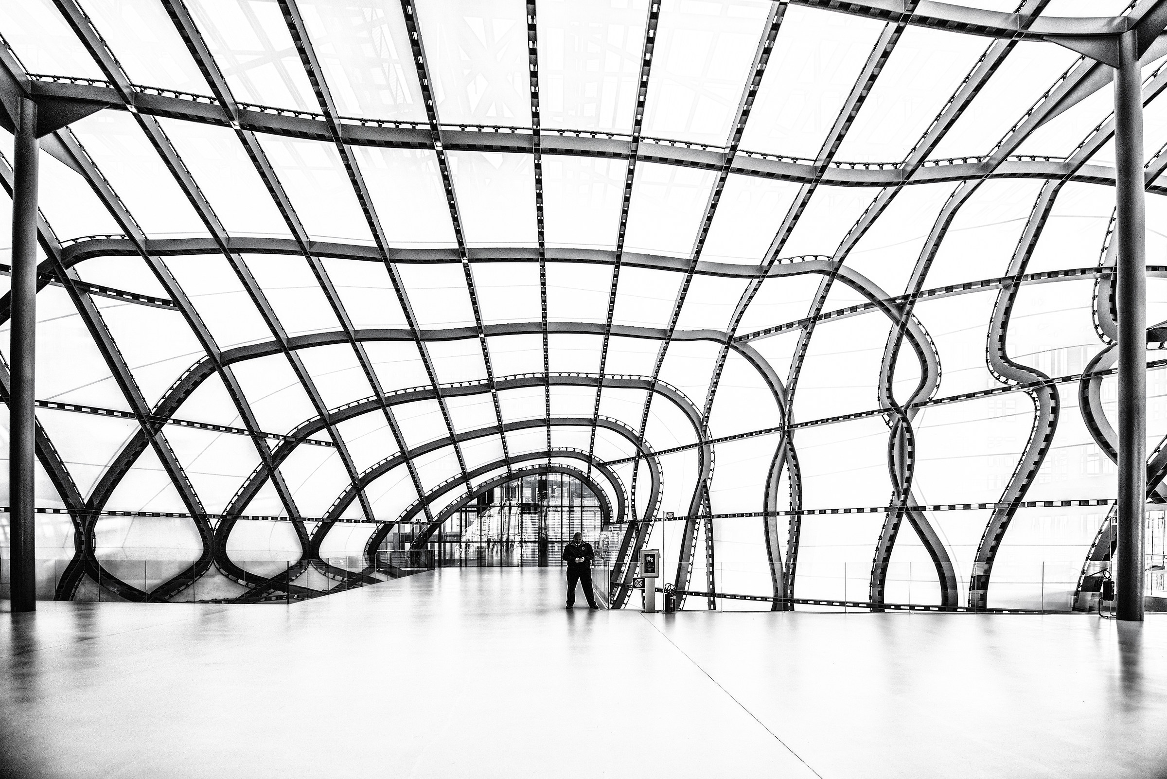 The Guardian of the Cloud