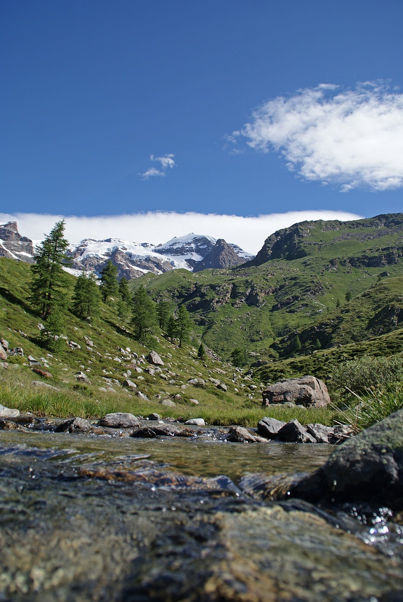 Monte rosa