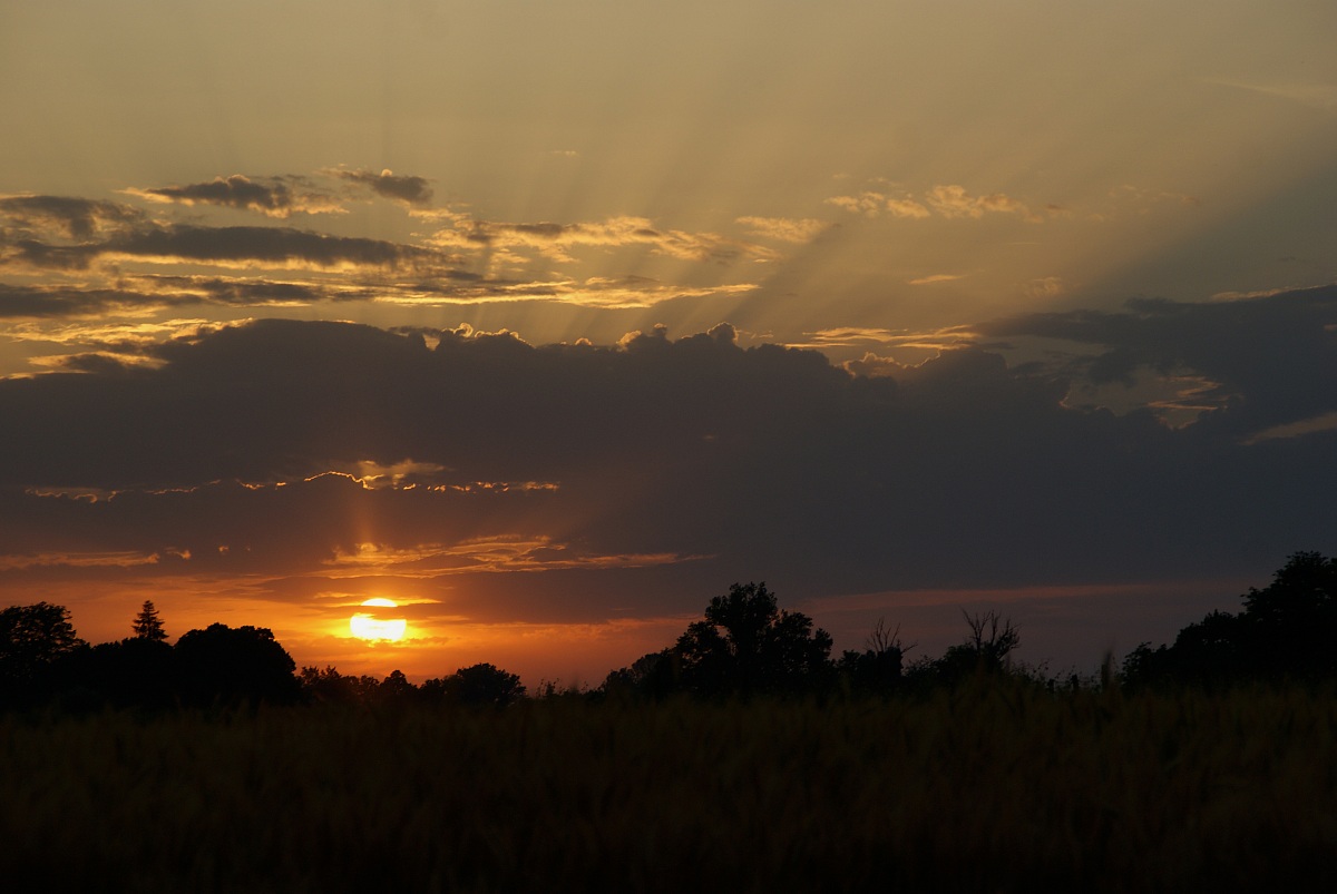 Sunset 2 Pezzolo of Russians