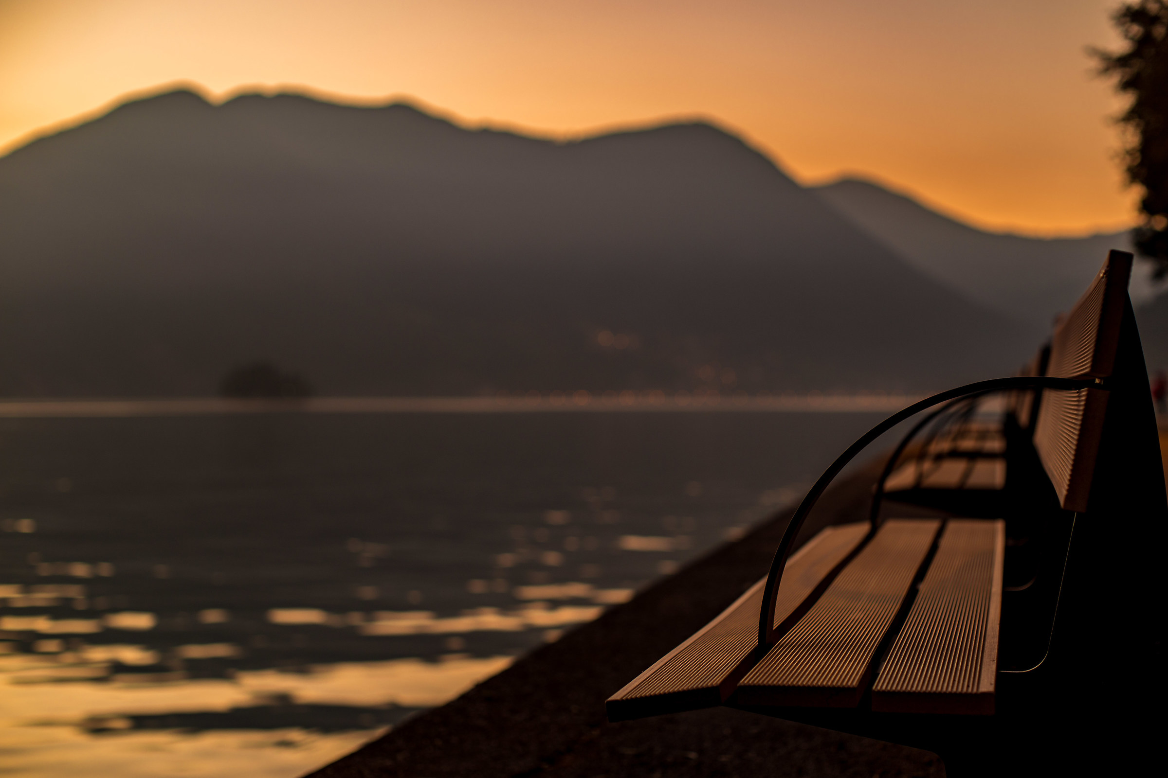 Quella lunga fila di panchine sul lago