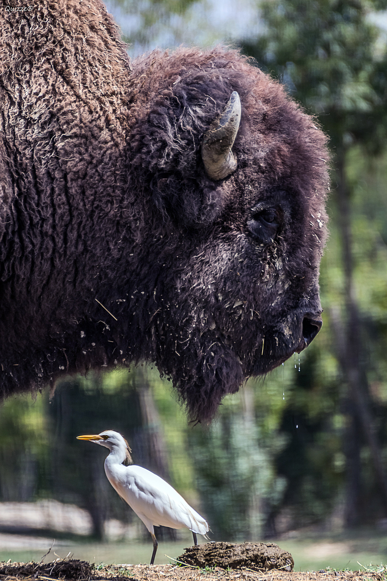"The Giant and The Child"