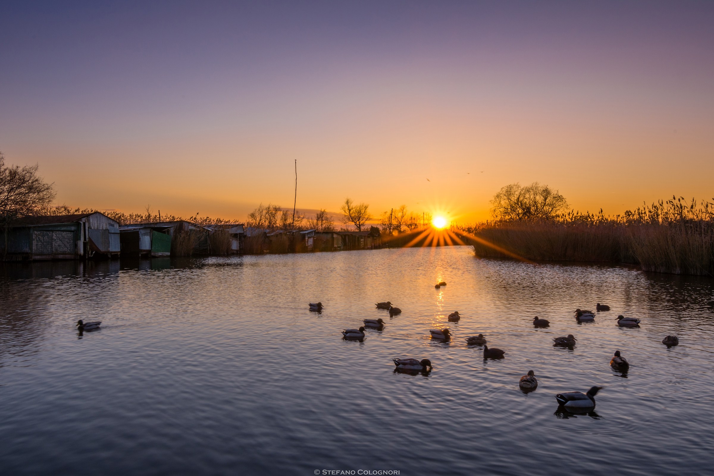 Sunset Oasis of Lake Massaciuccoli