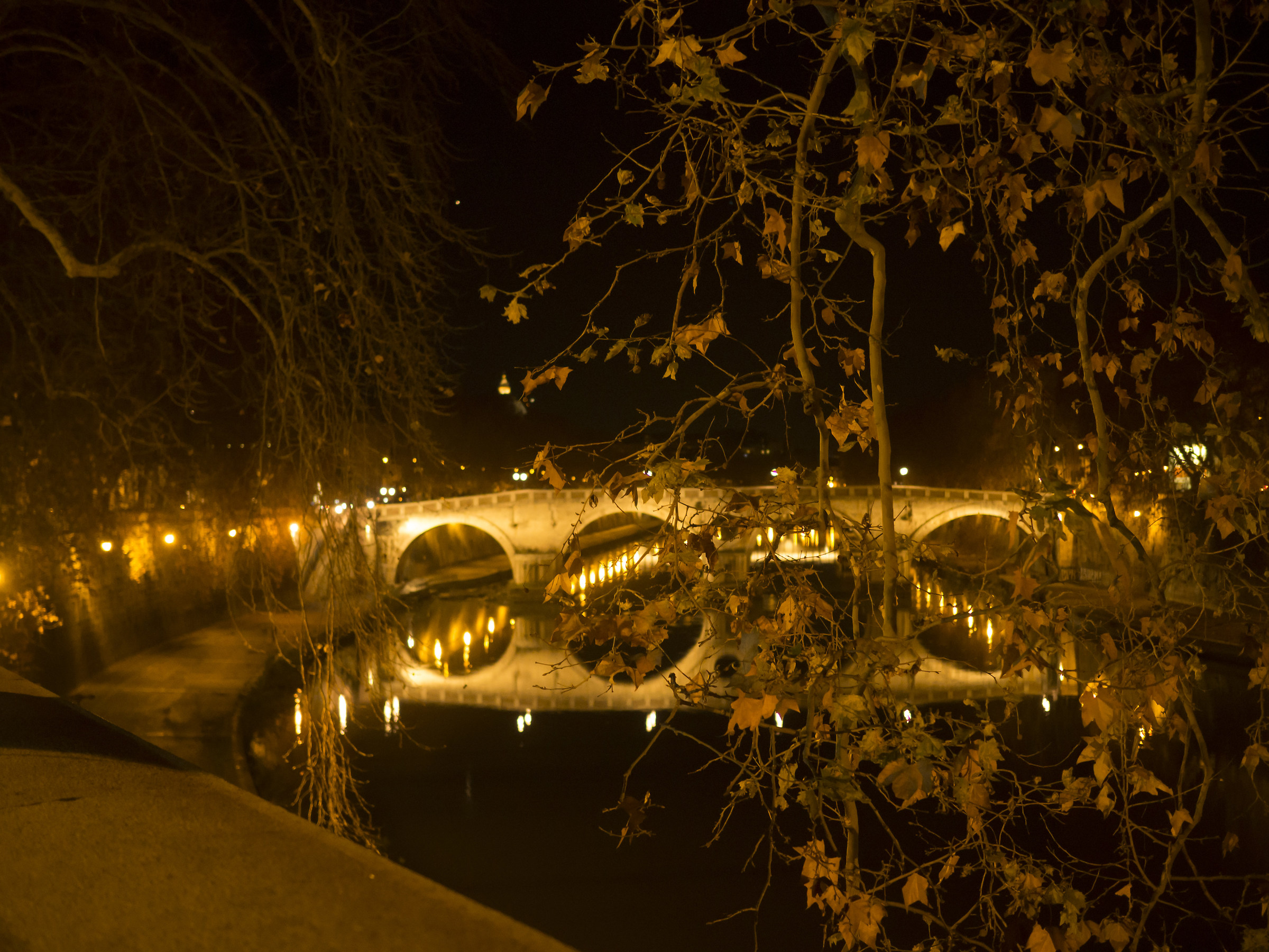 Cupolone tra le foglie