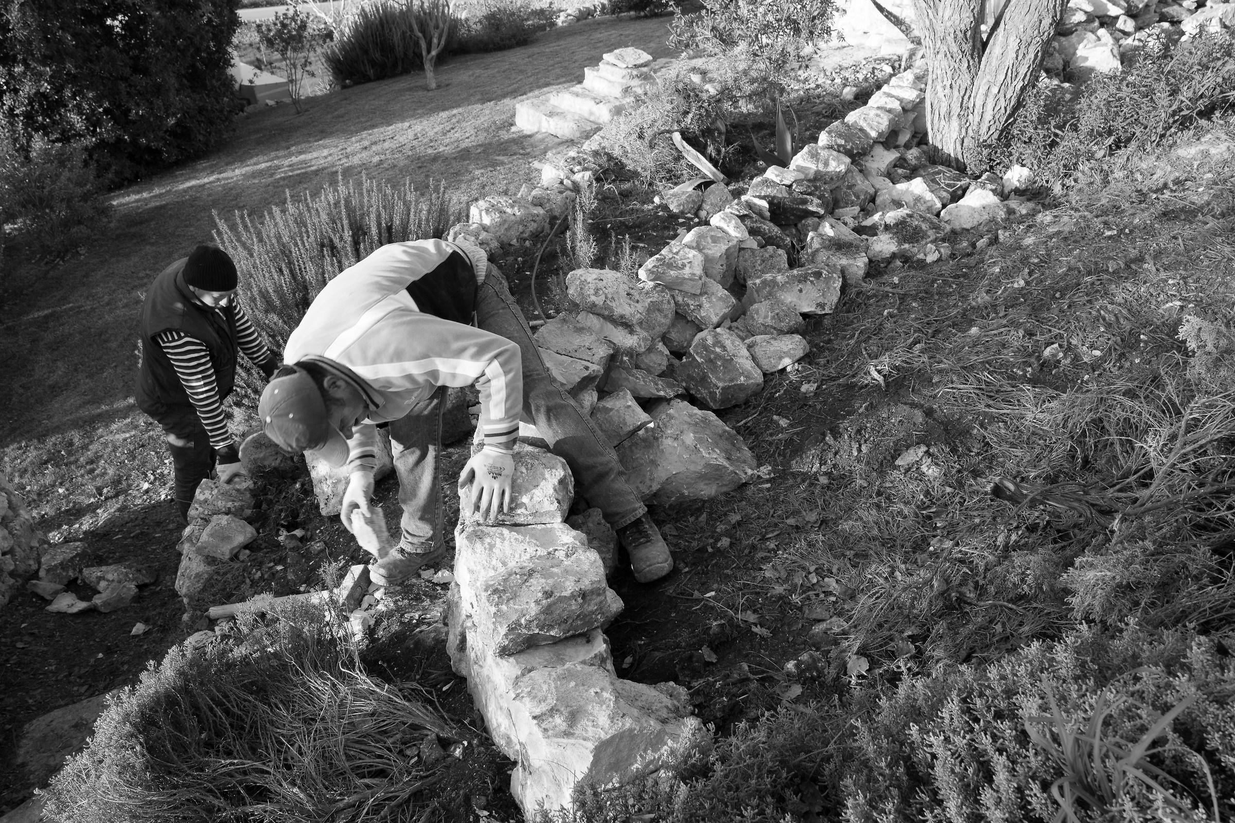 The art of dry stone walls