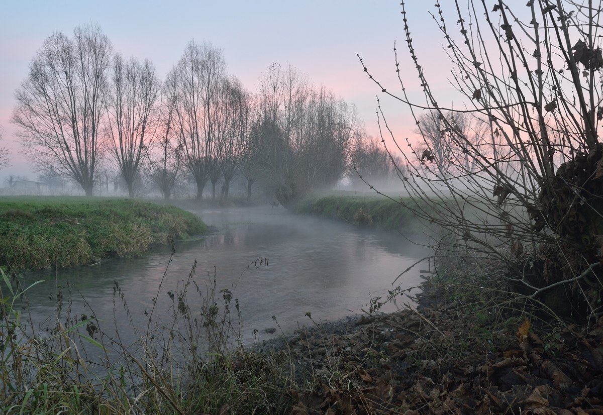 A foggy countryside carpet