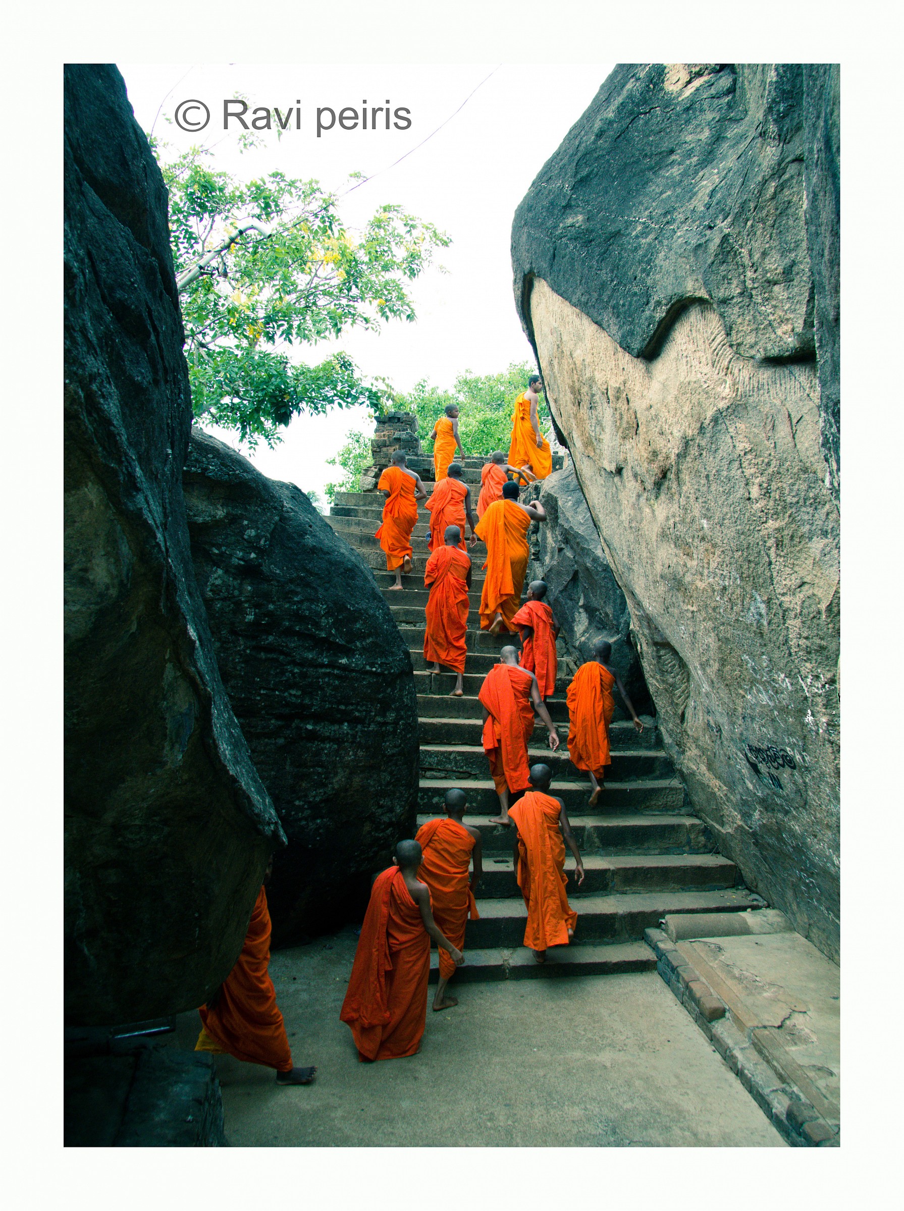 Monks