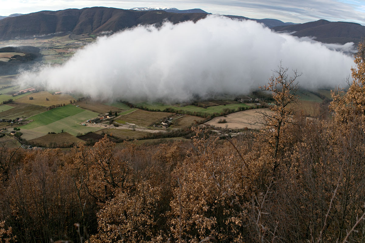 Fog in valley