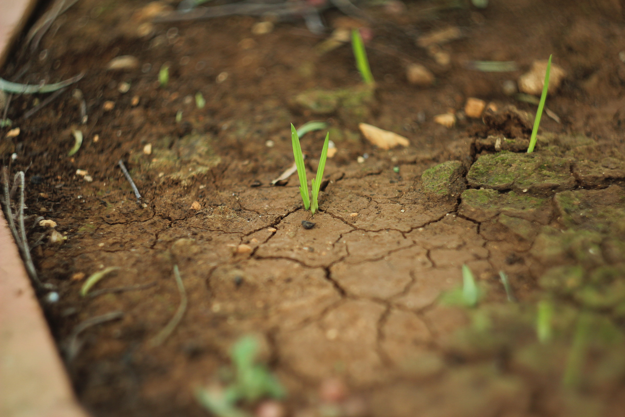 La battaglia della vita