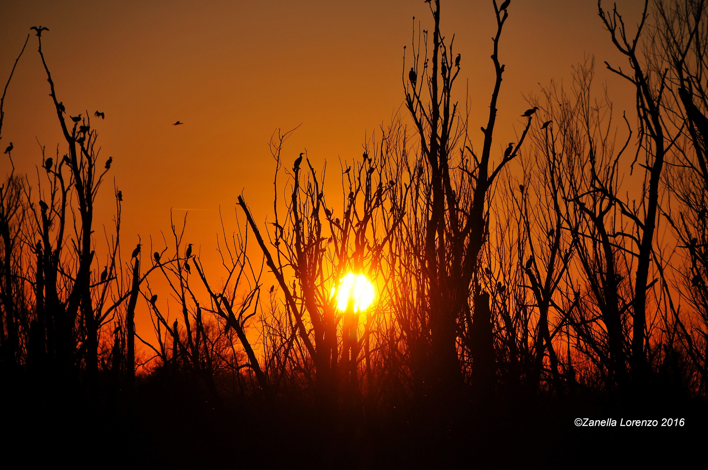 Tramonto delta del Po