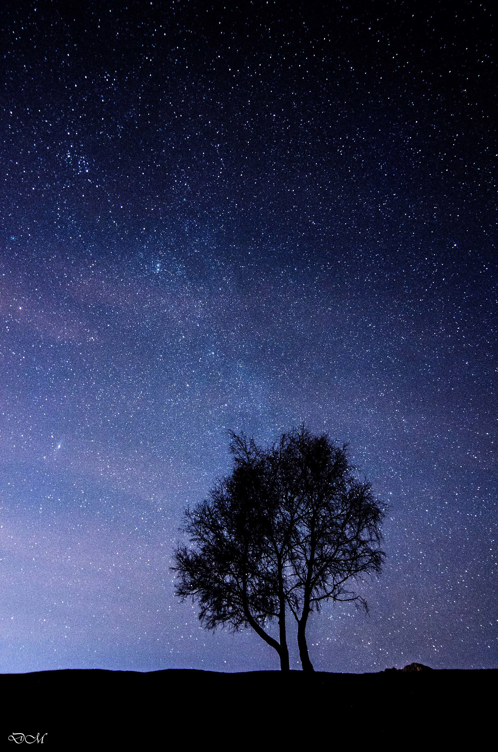 La luce buona delle stelle