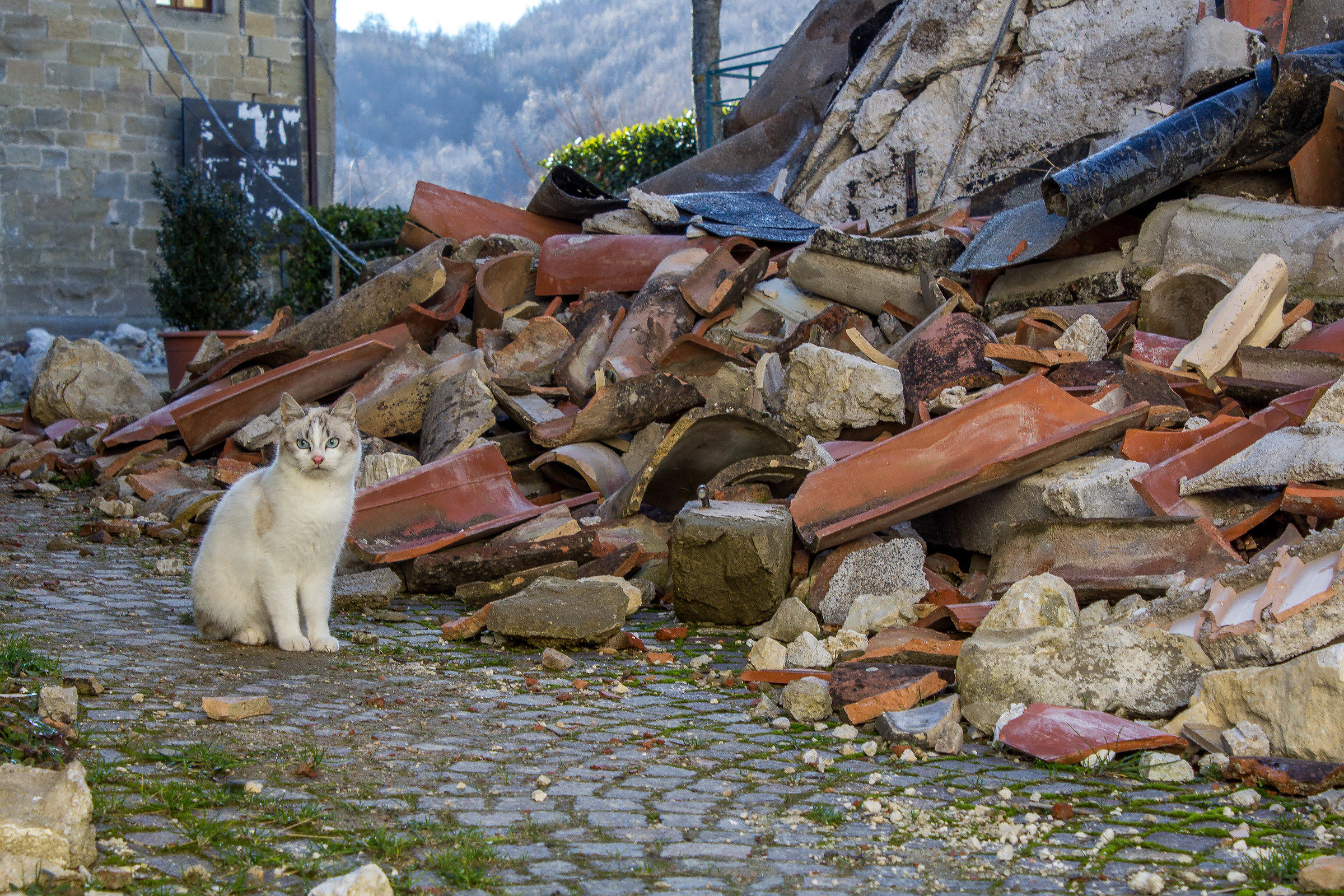 Castro di Montegallo - Terremoto 2016