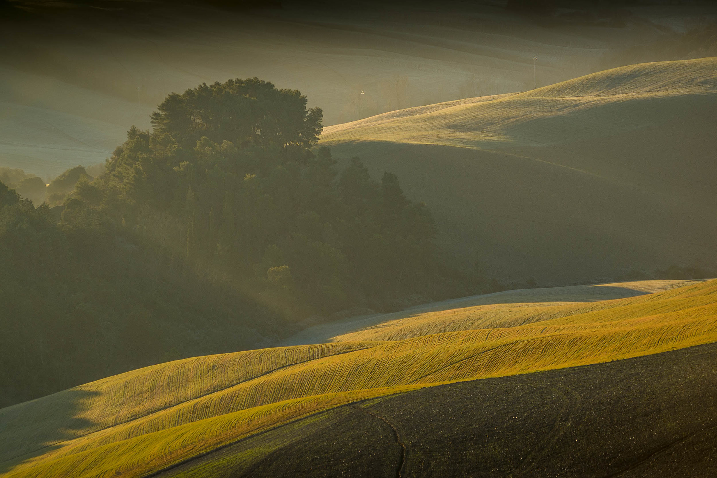 Nature Reserves near Volterra PI