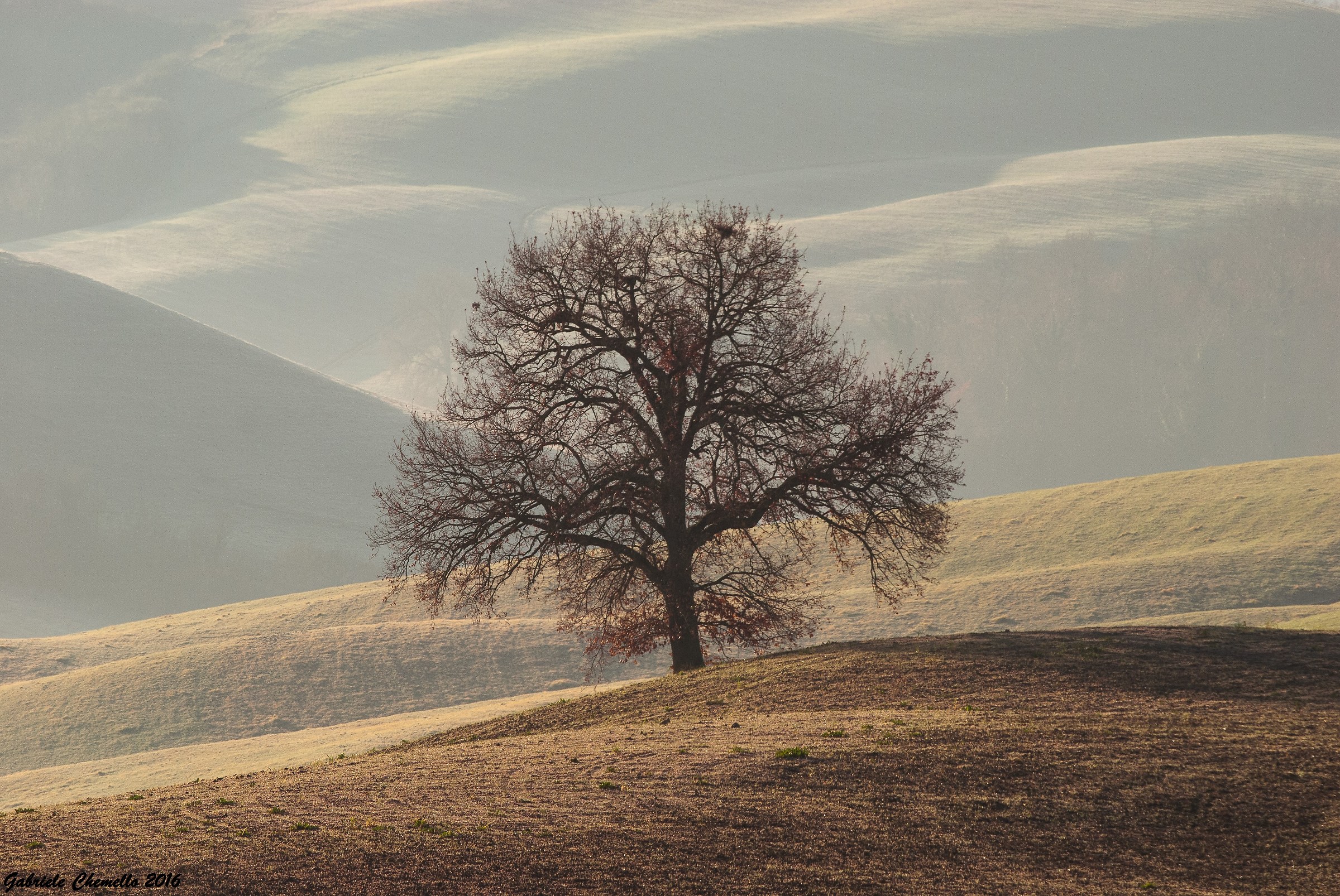 Alone at the mercy of the waves