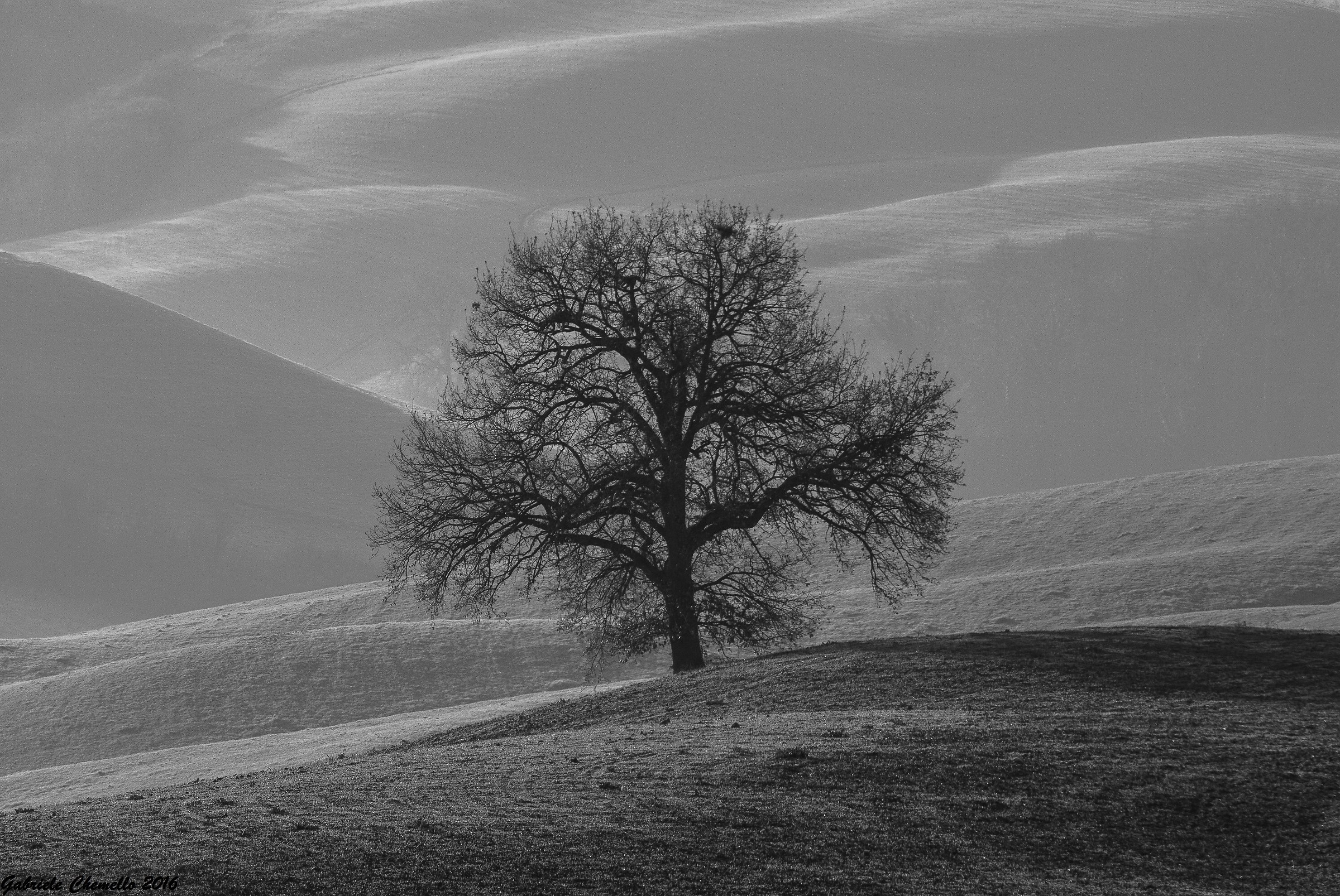 Sola in balia delle onde.