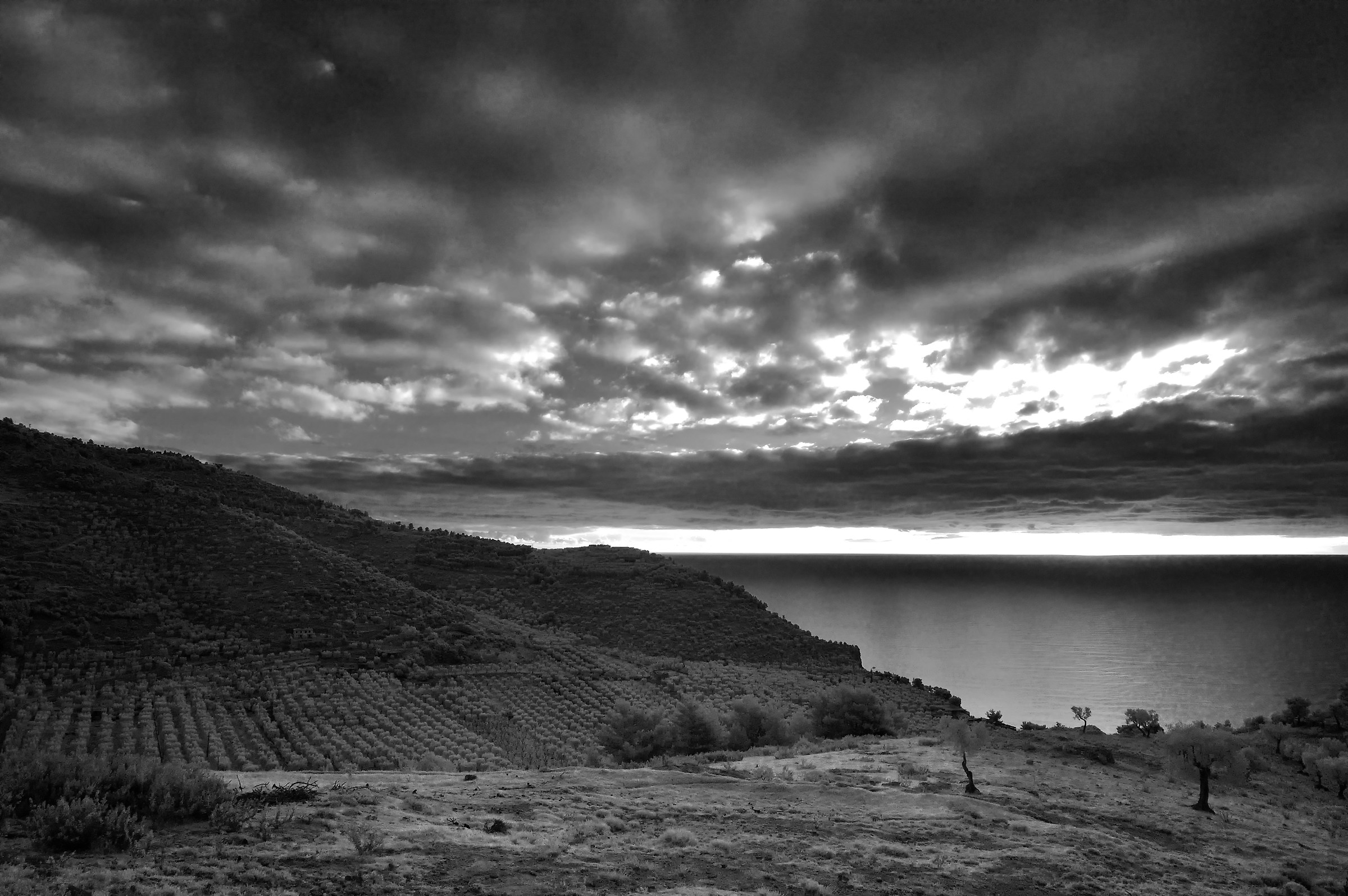 Morning landscape in the morning