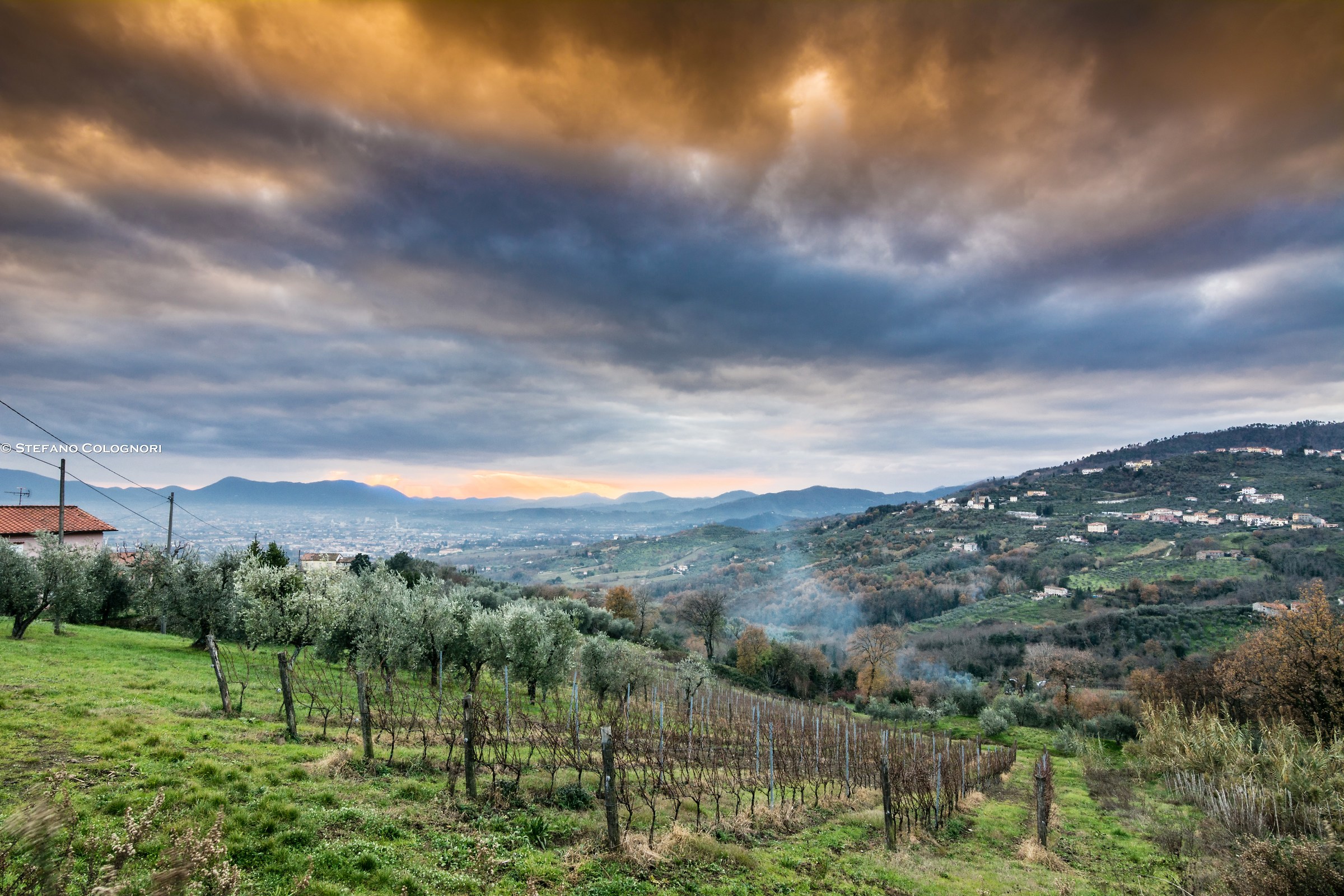Le colline di Valgiano